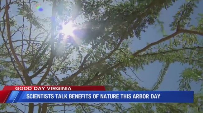 Roanoke named 2024 Tree City USA by Arbor Day Foundation