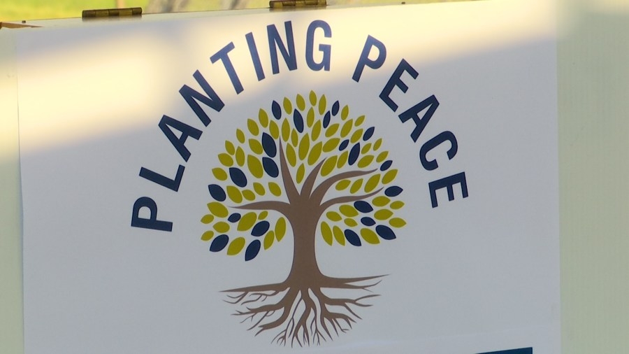 Roanoke honors lives lost to gun violence with oak trees at local parks