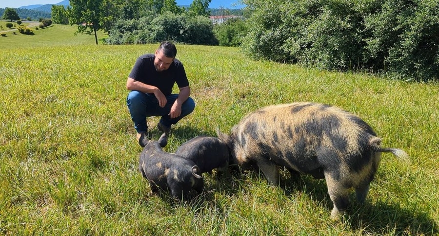 Heritage pork helps small farmers increase revenue by delivering delicious product