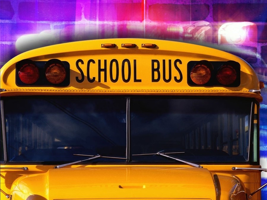 Tree branch falls on Callaghan Elementary School bus, no injuries reported
