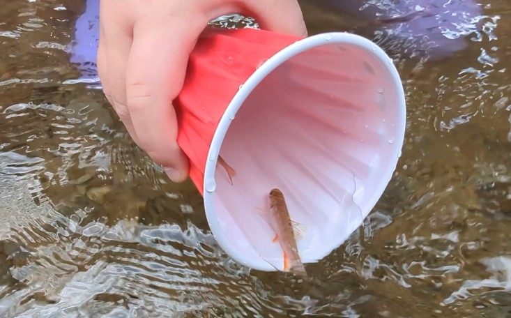 Virginia school students learn from fish!