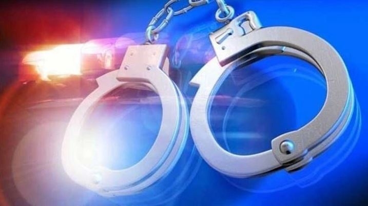 Man charged with animal cruelty, biting deputy in Henry County