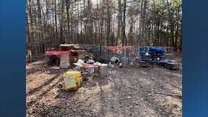 Man facing animal cruelty charges after nearly 100 animals found dead, held without bail