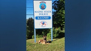 Hundreds expected at funeral for beloved K9 shot and killed during standoff in Maine