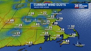 Hold onto your hats! High wind warnings in Massachusetts with gusts up to 65 mph