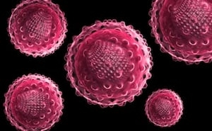 State health officials warn of possible Hepatitis A exposure in Provincetown