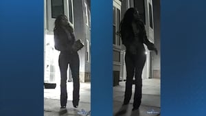 Have you seen her? Boston Police seek public's help in identifying suspect in Tesla vandalism