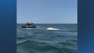 Marion authorities rescued three people after boat capsized in Buzzards Bay
