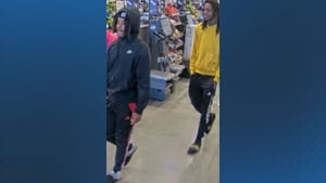 Two Michigan men facing several charges in connection with shoplifting incident in Milford