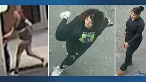 Boston police seek publics help for search of three vandalism suspects