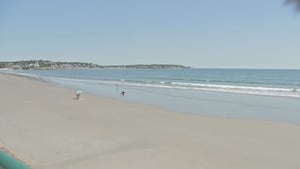 Environmental group urges action to reduce bacteria levels at local beaches