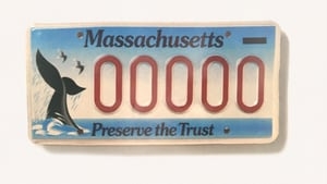 Mass. Environmental Trust hosting auction to fund protection of aquatic, marine habitats