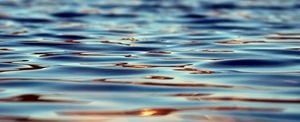 Owner of Old Dutch Mustard Co. pleads guilty to knowingly polluting New Hampshire river