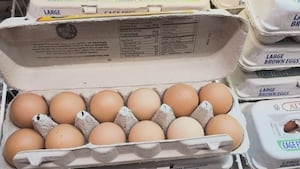 Even with rollercoaster prices, you can get your eggs for FREE