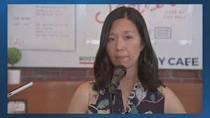 Boston Police don't wear masks, neo-Nazi group does, Wu says in talking about masked federal agents