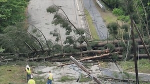 Many major roads in Mass. town left impassable after strong storm blows through