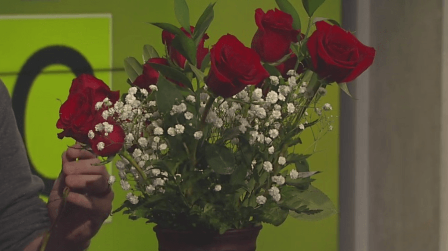 How to care for roses