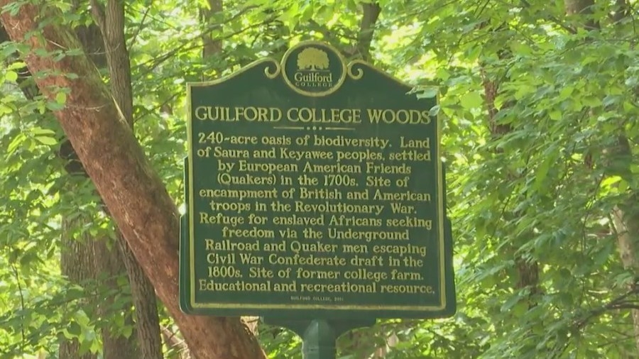 Guilford Woods protected by Piedmont Land Conservancy