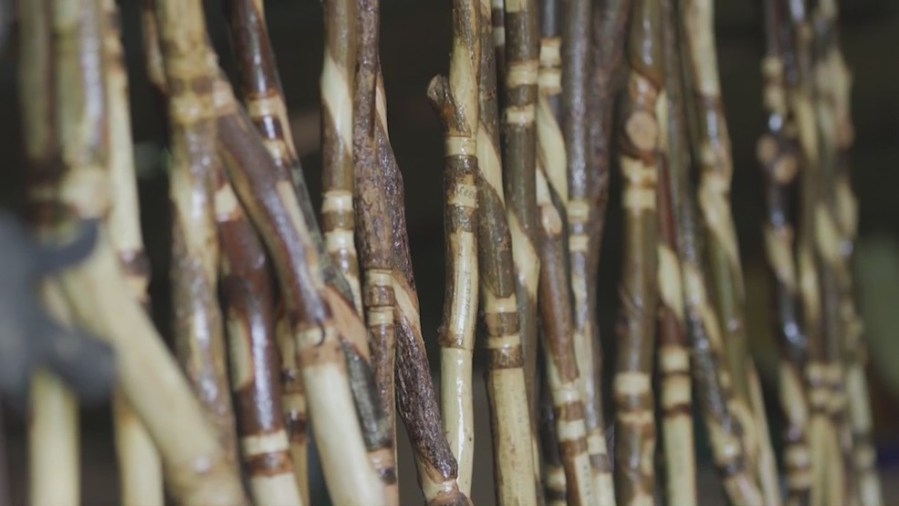 Clemmons man makes specialty walking sticks