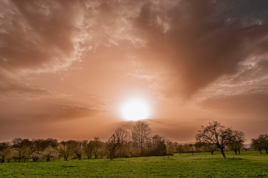 Saharan Dust makes its way towards the United States; Will the Triad be impacted?