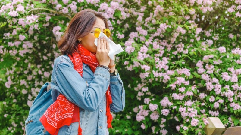 Triad allergist offers tips for those suffering spring allergies