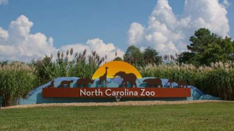 North Carolina Zoo named best in the country for second year in a row