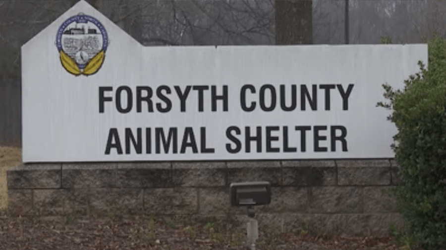 Forsyth County Animal Shelter facing fine after allegations of animal neglect