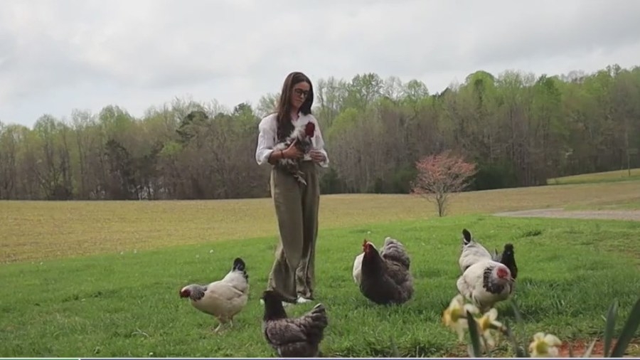Learning how to raise chickens on Teach Me Tuesday
