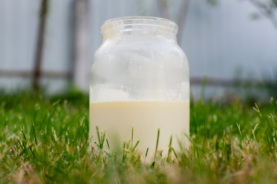 North Carolina agriculture commissioner speaks out against raw milk consumption; ‘puts human health at risk'