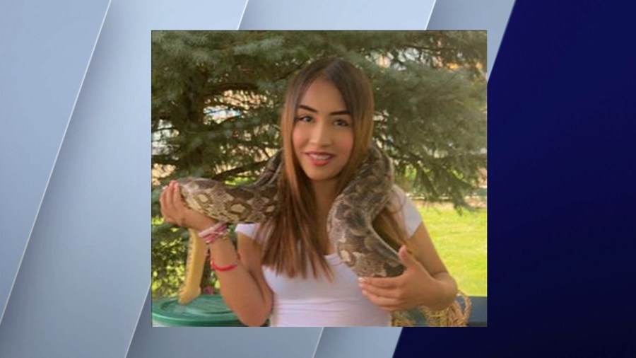 Missing teen girl last seen leaving school on Southwest Side: CPD