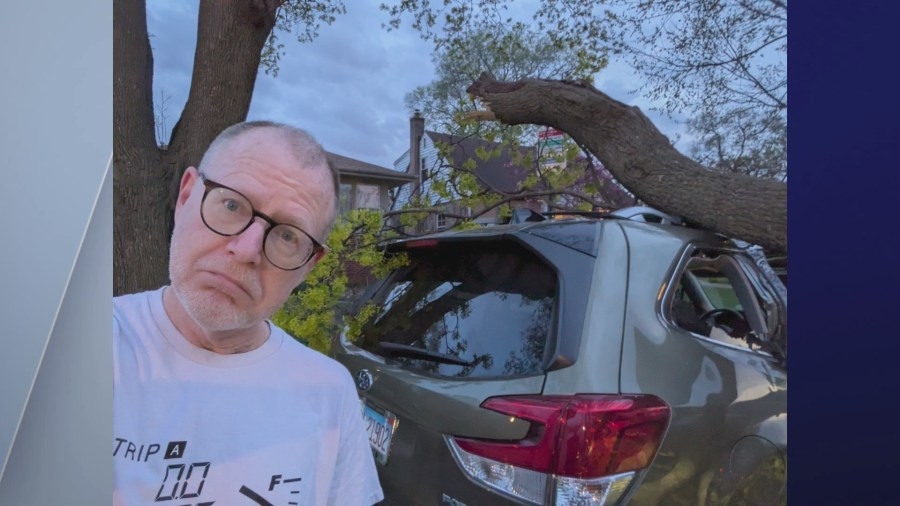 Evanston man has had 3 different cars smashed by trees on his block
