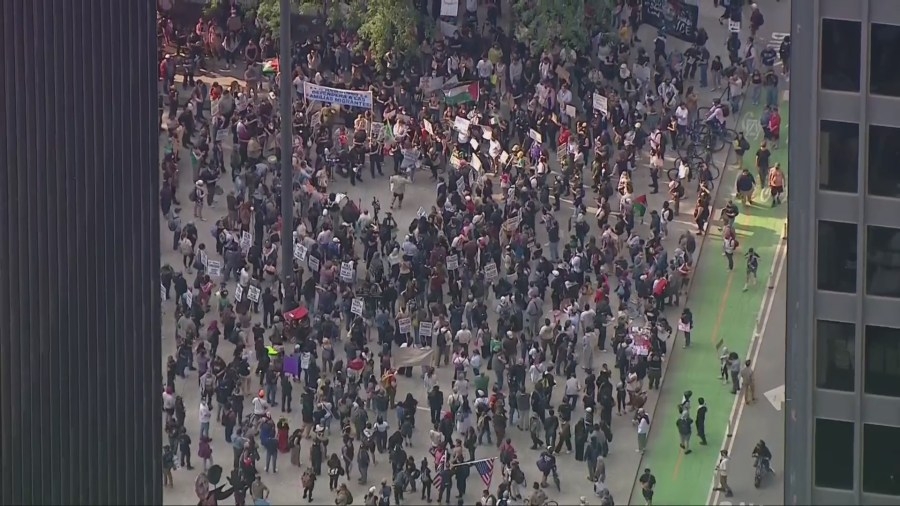 Protesters rally against ICE in downtown Chicago