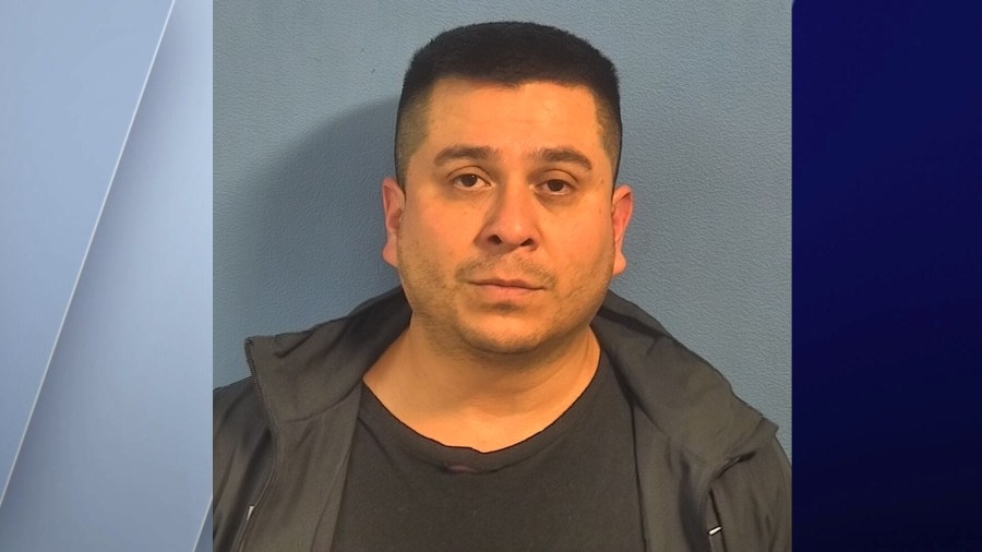 Naperville man sentenced to 8 years in prison after he ‘violently killed the family dog'