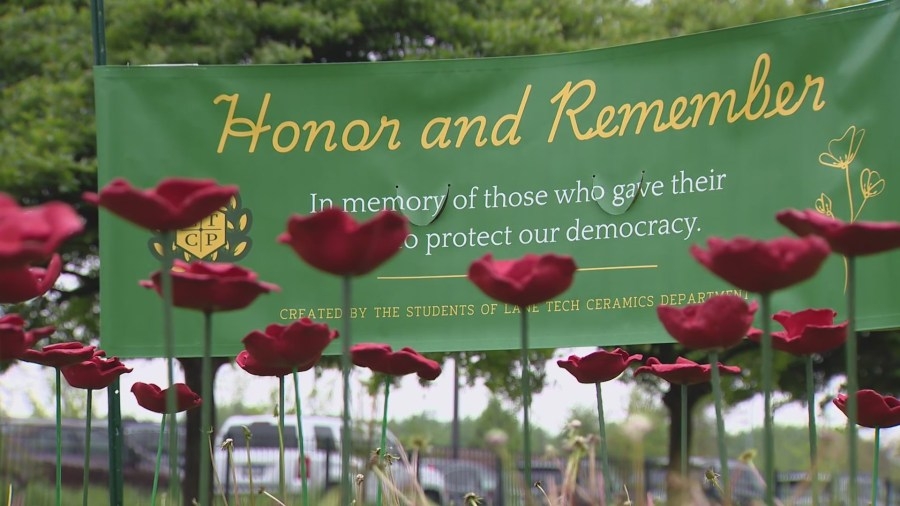 Chicago students honor soldiers with poppy installation