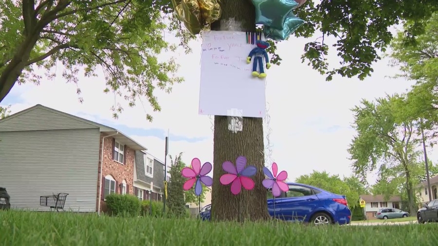 ‘We are all affected by it': Shocked neighbors grieve sisters' killings as search continues for suspect in Streamwood