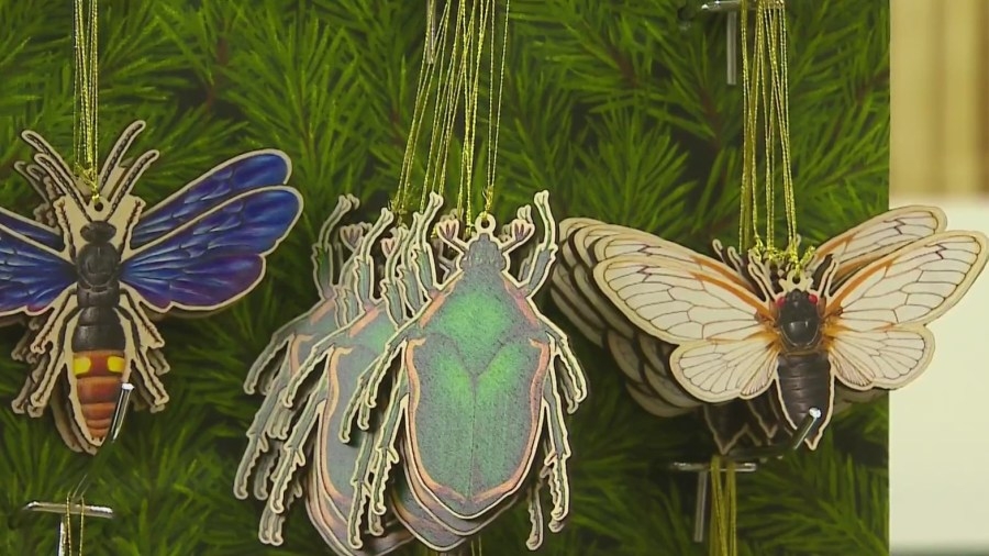 Conservation experts gather for Wild Things Conference
