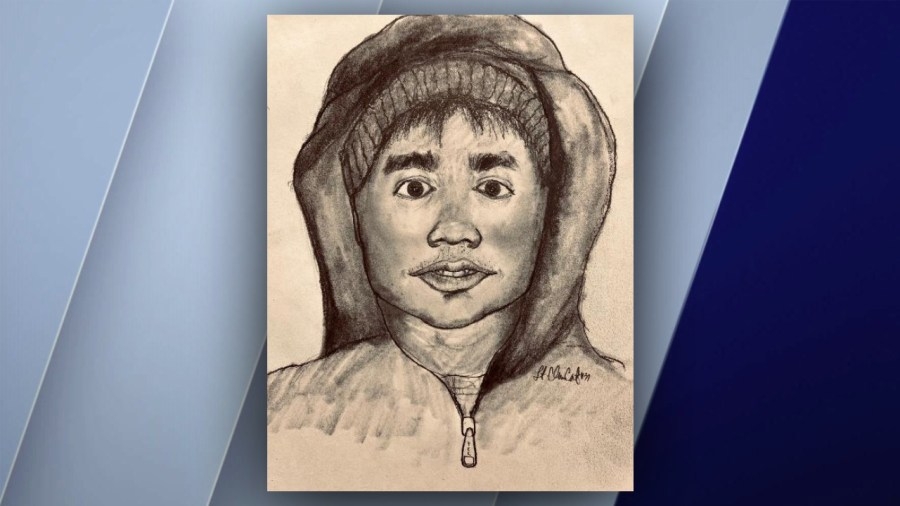 Suspect sketch released in Logan Square attack