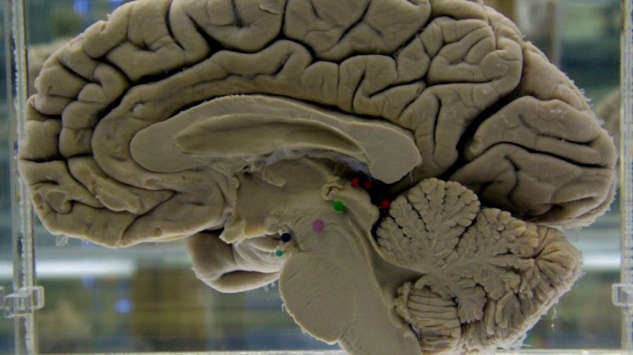 Identifying the cause of one of the most deadly brain tumors — and more