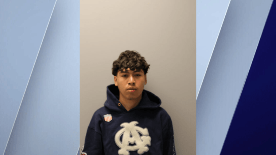 18-year-old charged after firing shots at a vehicle in Des Plaines