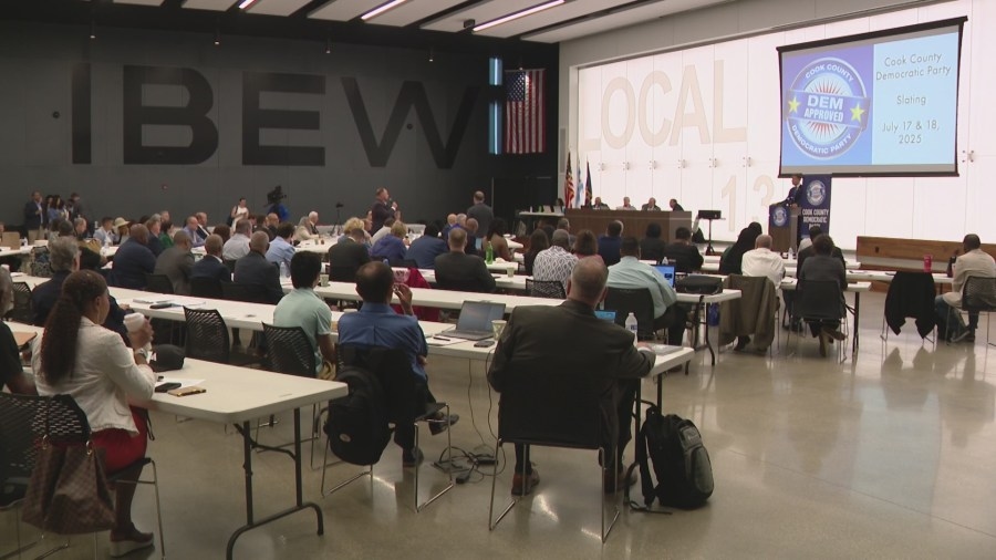Democratic Senate, comptroller candidates pitch for Cook County party's support