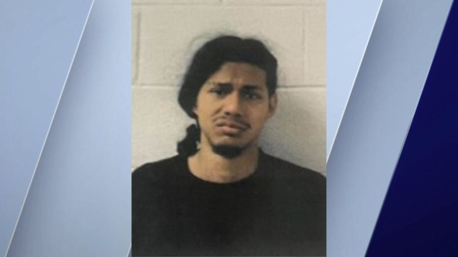 Man charged with murder after allegedly beating his mother to death inside suburban apartment