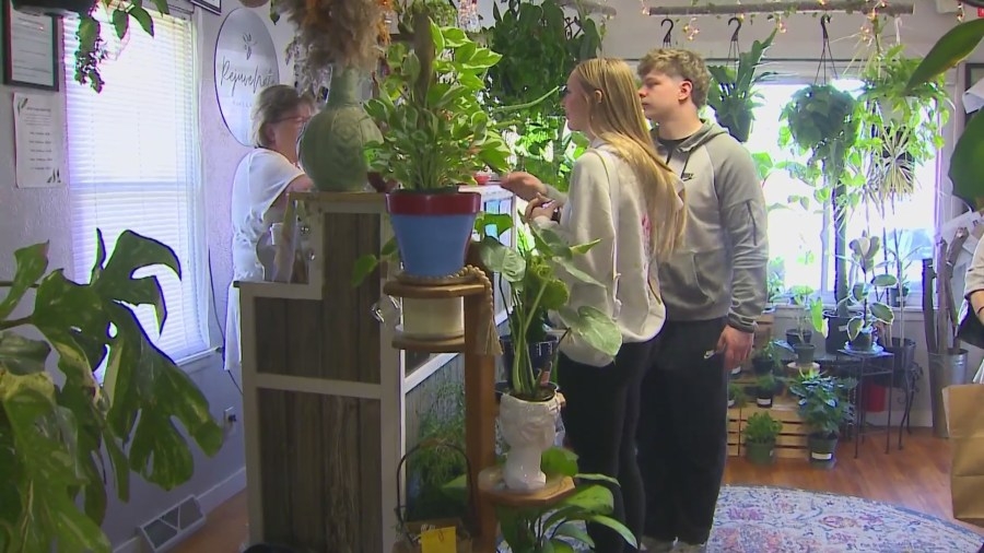 Sisters create plant shop to honor brother, grow hope and healing