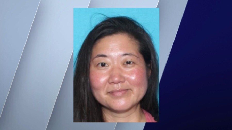 Endangered adult missing for nearly 3 months last seen leaving hospital in Lakeview