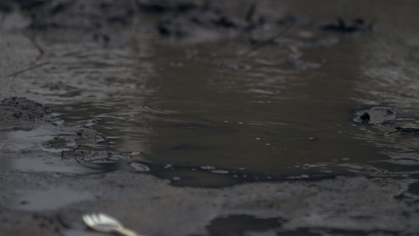 What is an ‘Overflow Action Day Alert'?