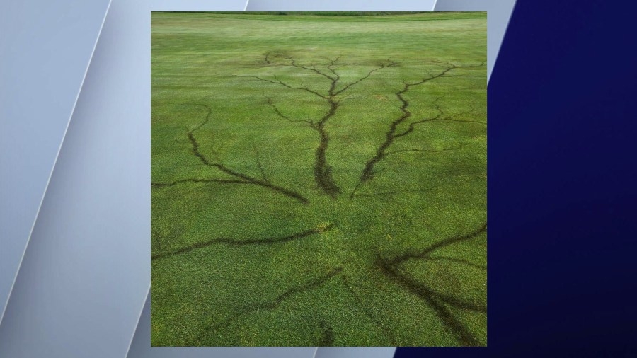 Lightning strike burns Lichtenberg figure into grass on Michigan golf course