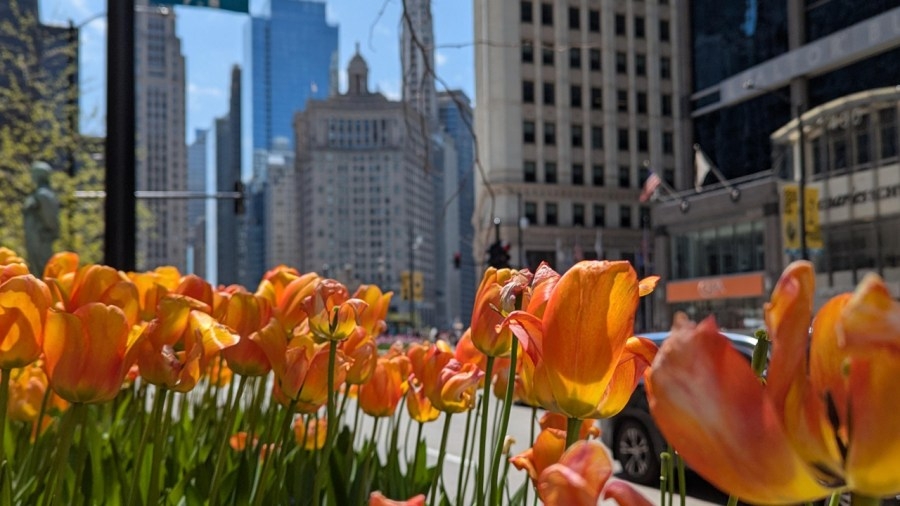 Chicago climate report: Lack of rain puts Chicagoland in drought territory