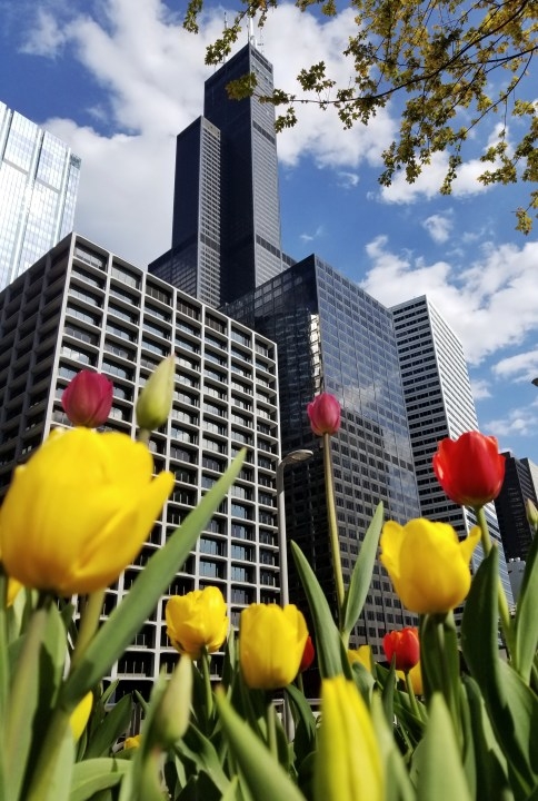 Sunday forecast: A sparkling, sunny Mother's Day on tap for Chicagoland, with inland highs in the 70s
