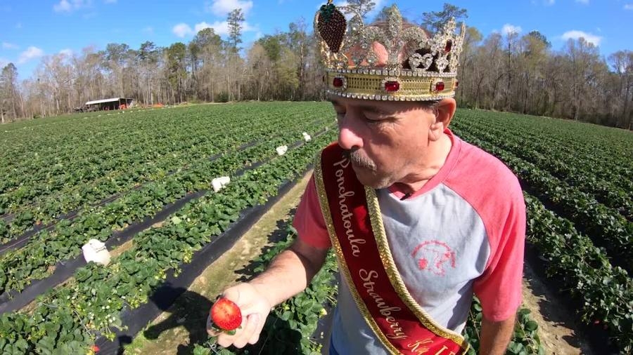 A love story of how Darryl Poche became Ponchatoula Strawberry King