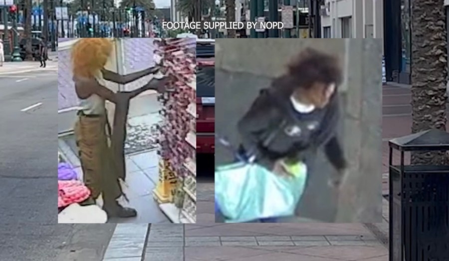 NOPD: 2 suspects, 2 burglaries, same block of Canal Street