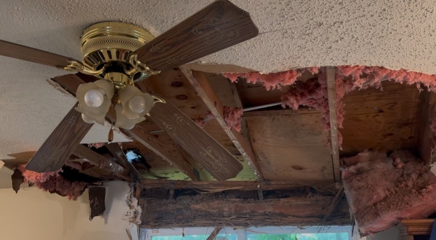 Harvey woman faces long road ahead after tree falls on home